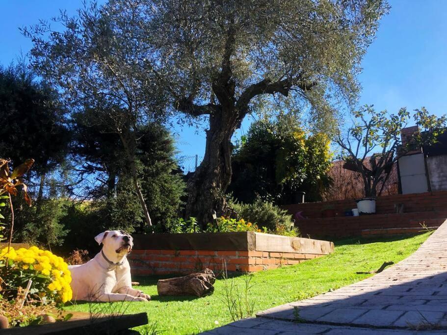 Villa Preciosa Con Hermosas Vistas. Hormigos Bagian luar foto